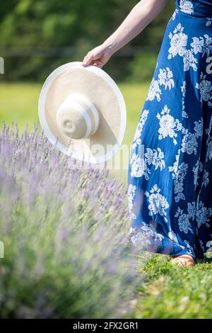 Eine kaukasische Frau mit silbernen Ringen hält einen schlampigen Sonnenhut und geht in einem Lavendelfeld. Blühende Wiese, Landschaft Landschaft Bokeh Backgrou Stockfoto