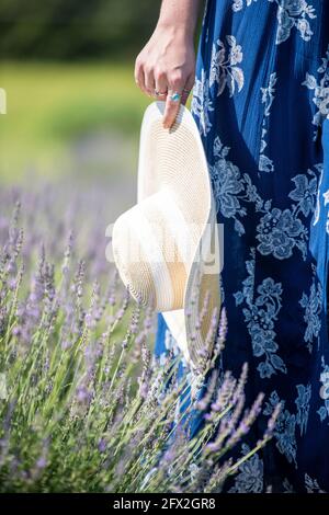 Eine kaukasische Frau mit silbernen Ringen hält einen schlampigen Sonnenhut und geht in einem Lavendelfeld. Blühende Wiese, Landschaft Landschaft Bokeh Backgrou Stockfoto