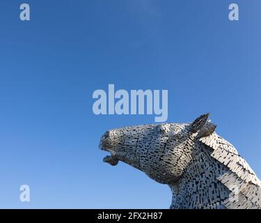 Der Kelpies - Falkirk Helix Park ist die Heimat der "Kelpies" - der größten Pferdeskulpturen der Welt. Stockfoto