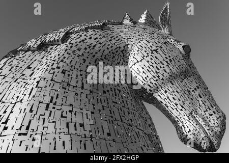 Der Kelpies - Falkirk Helix Park ist die Heimat der "Kelpies" - der größten Pferdeskulpturen der Welt. Stockfoto