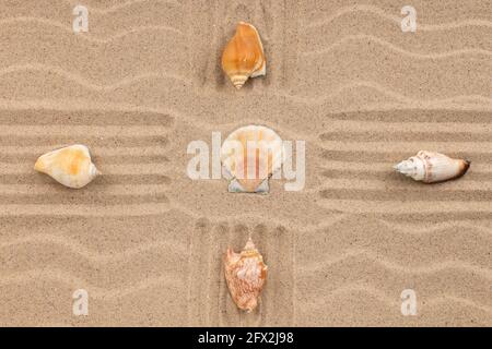 Muscheln liegen in einem Kreuz auf dem Sand. Draufsicht. Speicherplatz kopieren. Stockfoto