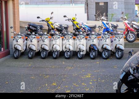 VICTORIA, VANCOUVER ISLAND, KANADA - 2016. SEPTEMBER 22: Glänzende Motorroller, nummeriert, zu mieten, ordentlich aufgereiht in einer Reihe außerhalb des Cycle BC Mietladens Stockfoto