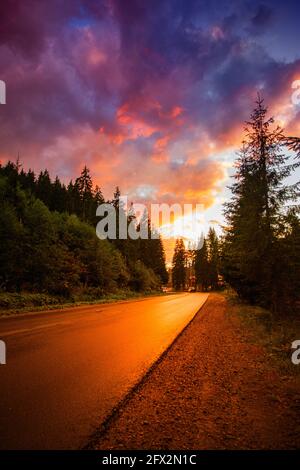 Sonnenuntergang auf einer leeren Bergautobahn, umgeben von Wald Stockfoto