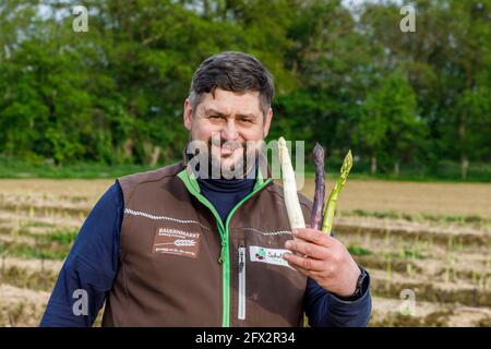 Bauer Scholtheis vom Niederrhein während der Spargelernten mit weißem, grünem und Violettem oder lila Spargel. The selte Sorte stammed from Italy and Stockfoto