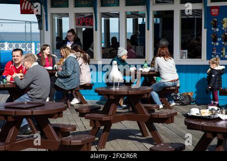 Eine europäische Herringmöwe Larus argentatus dringt in eine Gruppe ein Von Touristen auf Llandudno Pier durch die Auswahl einer Tabelle zu Essen abschreck Stockfoto