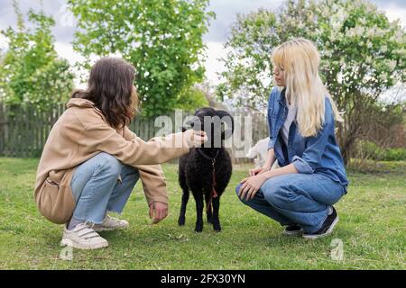 Rustikaler Stil, kleine Tierfarm, ein paar Jugendliche spielen berühren einen schwarzen Widder Stockfoto