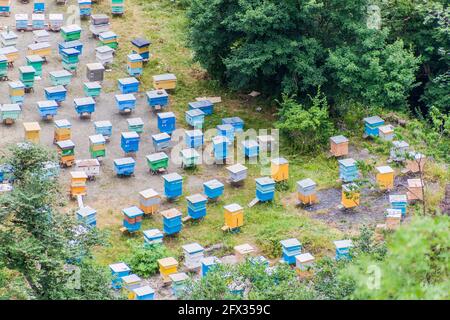 Bienenstöcke im Dilijan Nationalpark in Armenien Stockfoto