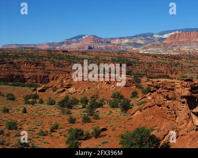 Farbenfroher Blick vom Panorama Point, Capitol Reef National Park, Utah, USA Stockfoto