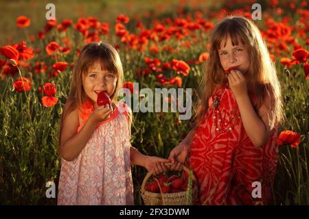 Zwei kleine Mädchen auf einem Mohnfeld, die Erdbeeren essen Stockfoto