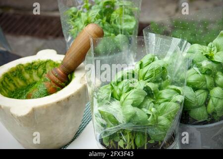 Frisches italienisches Pesto, hausgemachte Sauce mit Basilikum. Stockfoto