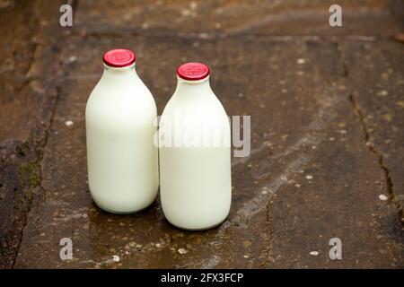 Zwei Pints rot getopfter Milch in Glasflaschen Stockfoto