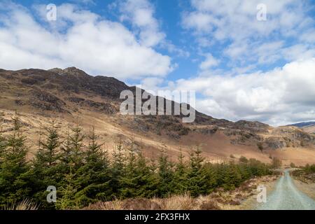 Blick auf den langen Grat am Bioran bei St Fillans, Perthshire, Schottland Stockfoto