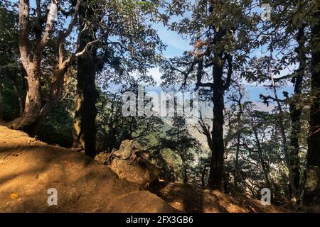 Der Blick auf den Himalaya auf der Trekkingroute nach Tunganath, dem höchsten Kedar, einem der höchsten Tempel der Shiva der Welt. Stockfoto