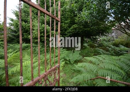 Sardegna, chiesa campestre San Gavino, Viddalba, Sardegna Stockfoto