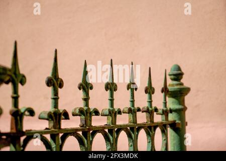 Zaundraht im Freien bei bestem Tageslicht fotografiert Stockfoto