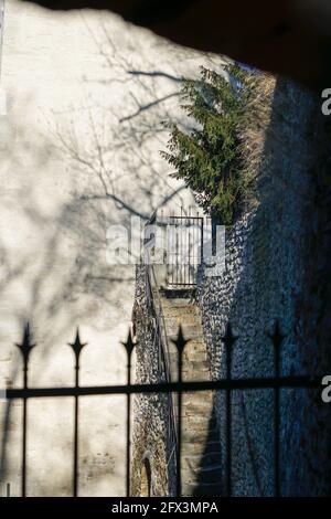 Zaundraht im Freien bei bestem Tageslicht fotografiert Stockfoto