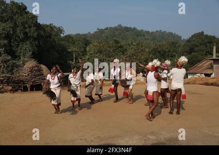 LANJIA SAORA TRIBE - traditioneller Gruppentanz. Männliche Tänzer mit Lendenschurzen und Köpfen, die mit weißen Vogelfedern verziert sind, spielen Trommeln, Gagerai, Trete Stockfoto