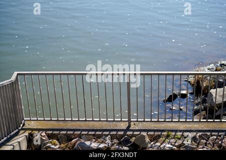 Zaundraht im Freien bei bestem Tageslicht fotografiert Stockfoto