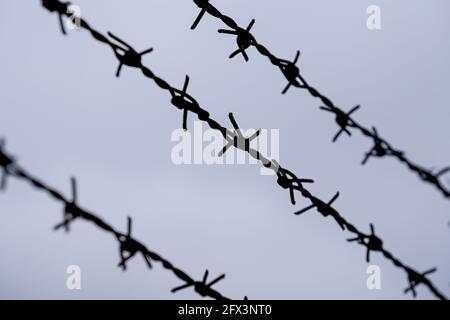 Zaundraht im Freien bei bestem Tageslicht fotografiert Stockfoto