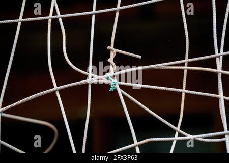 Zaundraht im Freien bei bestem Tageslicht fotografiert Stockfoto