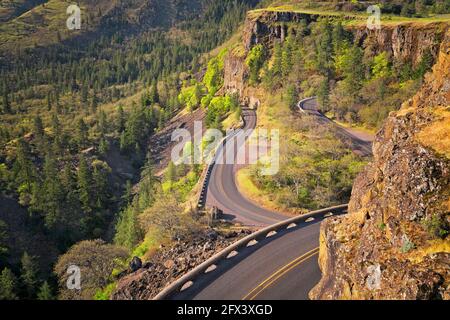 Frühlingsmorgen Blick auf die Rowena Loops umarmt den Felsen Klippen direkt unter dem Aussichtspunkt Rowena Crest im historischen Columbia von Oregon River Highway in Wasco Stockfoto