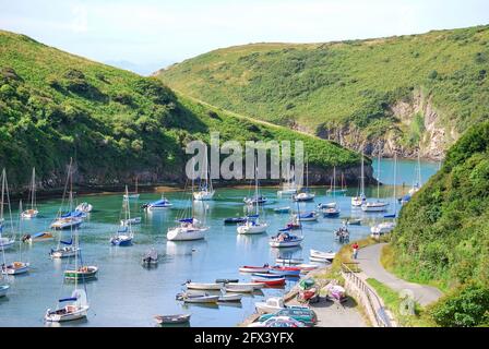 Blick auf den Hafen, St Bride's Bay, Solva, Pembrokeshire, Wales, Vereinigtes Königreich Stockfoto