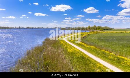 Luftaufnahme des niederländischen Flusses in der Nähe von Boornzwaag. Radweg auf Deich schlängelt sich durch Polder mit gelben Blumen. Friesland, Niederlande Stockfoto