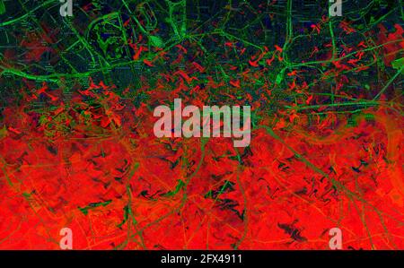 Farbenfrohe abstrakte Muster mit Linien Stockfoto