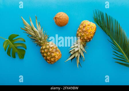 Ananas und Palmenblätter auf blauem Sommerhintergrund. Tropische Sommer Ananas Kokosfrüchte flache Lay-Zusammensetzung. Stockfoto