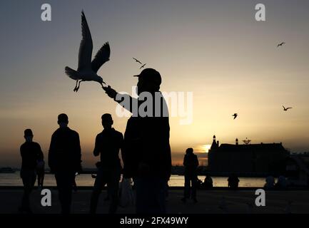 Istanbul, Istanbul, Türkei. Mai 2021. Vor Sonnenuntergang ein Mann mit Maske, der während der Pandemie von Covid-19 in Istanbul Möwen fütterte. Quelle: Serkan Senturk/ZUMA Wire/Alamy Live News Stockfoto