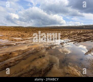 Landschaft mit Pfützen auf gepflügten Feld nach Frühlingsregen Stockfoto