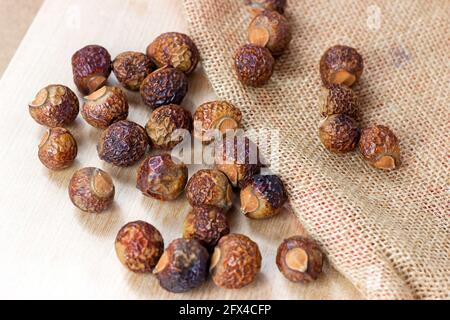 Braune Trockenseifennüsse (Soapberries, Sapindus Mukorossi) für Bio-Wäsche und sanfte natürliche Hautpflege auf hellem Hintergrund. Stockfoto