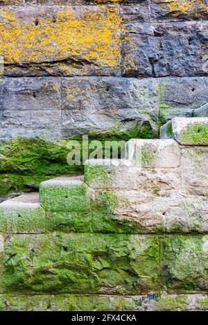 Das Fischerboot liegt im Hafen von Barry Island, Vale of Glamorgan, Südwales, eine ruhige Küstenszene, die das Leben am walisischen Meer widerspiegelt: Phillip Roberts Stockfoto