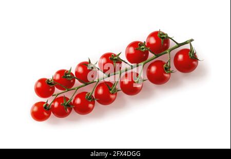 Reife rote Kirschtomaten auf der Rebe isoliert auf weißem Hintergrund. Saftige Bio-Kirschtomaten auf einem grünen Zweig aus nächster Nähe. Leckeres Gemüse, Gemüse. Stockfoto