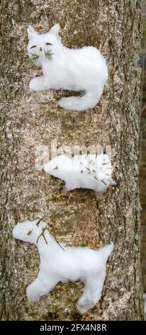 Kreativer Ansatz für Kinder. Die Kinder steckten eine Schneegucke eines Igels und nördlicher Rentiere und Katze auf einen Baum (wie ein Hochrelief) Stockfoto