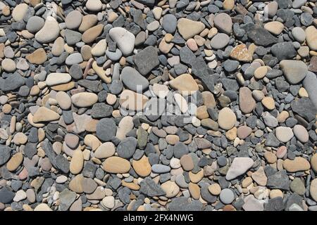 Die Oberflächenstruktur von grauen Meereskieseln mit Surf-geglätteten Kanten. Graue Kieselsteine der Küste. Stockfoto