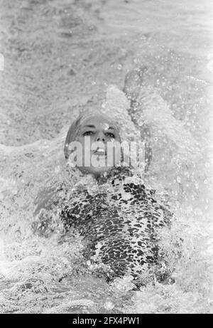 Schwimmeuropameisterschaften in Utrecht, Christine Caro in Aktion, 21. August 1966, Schwimmmeisterschaften, Niederlande, 20. Jahrhundert Presseagentur Foto, Nachrichten zu erinnern, Dokumentarfilm, historische Fotografie 1945-1990, visuelle Geschichten, Menschliche Geschichte des zwanzigsten Jahrhunderts, Momente in der Zeit festzuhalten Stockfoto