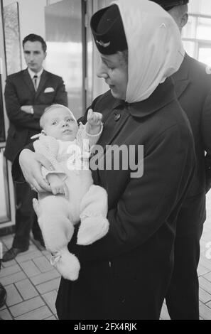 Evakuen aus Niederländisch-Neuguinea (Baby in Arm Stewardess), 29. Mai 1962, Babys, Stewards, Niederlande, Presseagentur des 20. Jahrhunderts, Foto, Nachrichten zum erinnern, Dokumentarfilm, historische Fotografie 1945-1990, visuelle Geschichten, Menschliche Geschichte des zwanzigsten Jahrhunderts, Momente in der Zeit festzuhalten Stockfoto