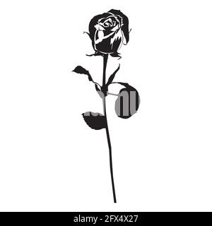 Rose Blume schwarze Silhouette, Vektor-Illustration. Blühende Gartenblume Stock Vektor