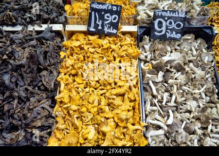 Barcelona. Katalonien. Spanien. Der Mercat de Sant Josep de la Boqueria. Frische Pilze Stockfoto