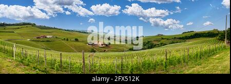 Landschaft von Langhe und seinen Weinbergen Stockfoto