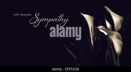 Sympathiekarte mit Calla Lily Blumen Stockfoto