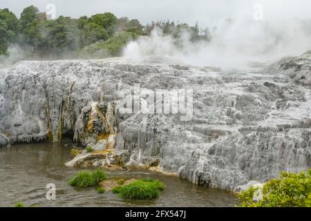 Landschaft rund um das Geothermische Tal Te Puia in Neuseeland Stockfoto
