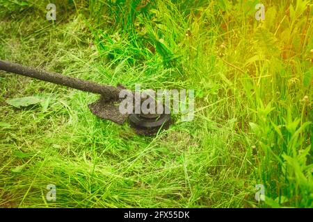 Rasenmäher mäht grünes Gras im Garten, Nahaufnahme. Stockfoto