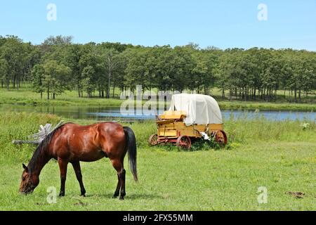 Idyllische ländliche Landschaft, Kichwagen und ein Pferd auf einer Wiese in Oklahoma Stockfoto