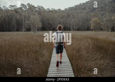 Eine hölzerne Promenade schlängelt sich am „Ort der Winde“ auf dem Great North Walk in der Nähe von Berowra Waters durch offenes Grasland. Stockfoto