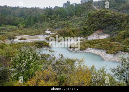 Landschaft rund um das Geothermische Tal Te Puia in Neuseeland Stockfoto