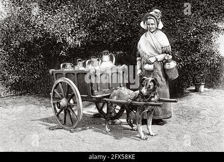 Kleines Auto, das von einem Hund von einer Brüsseler Milchfrau gezogen wird. Alte, gravierte Illustration aus dem 19. Jahrhundert von La Nature 1893 Stockfoto