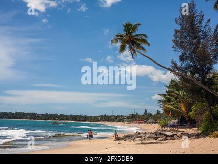 Palmen und blauer Himmel über einem idyllischen Strand, Tangalle, Sri Lanka Stockfoto