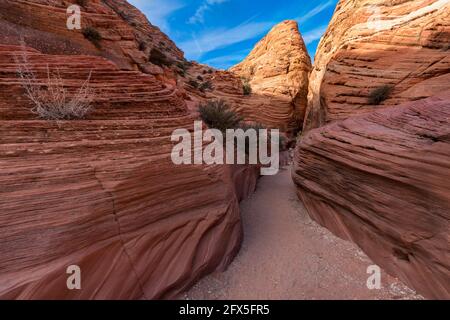 Wire Pass Trail, Utah, USA Stockfoto